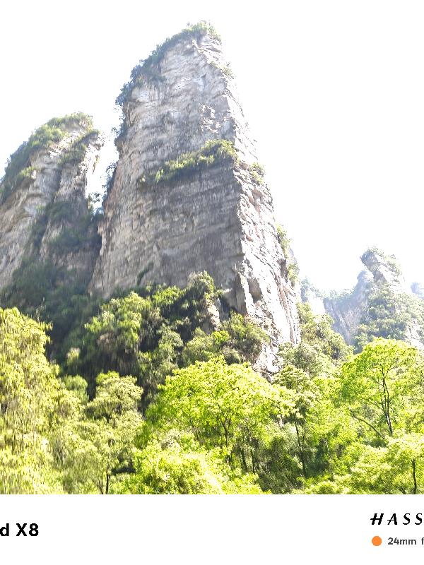 荷叶闲客中短篇小说选集四